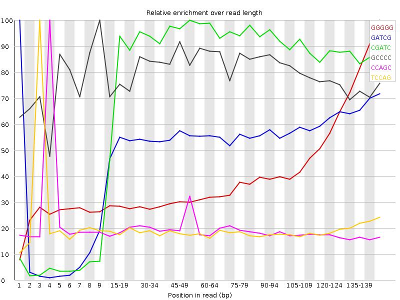 Kmer graph