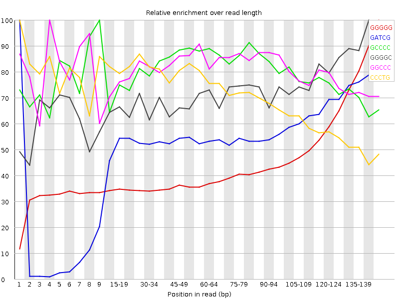 Kmer graph