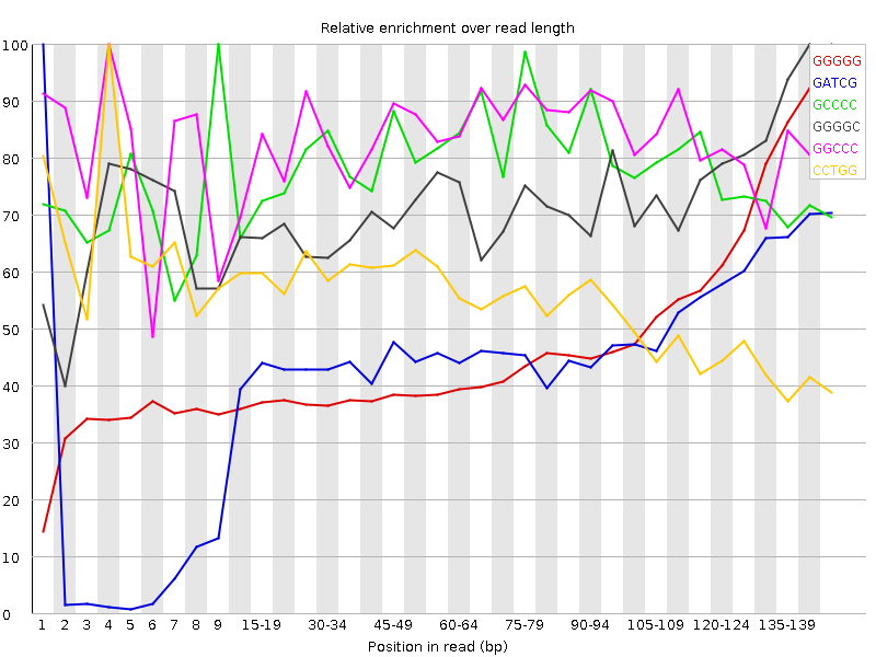 Kmer graph