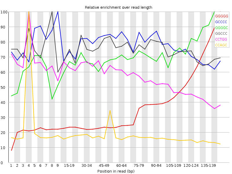 Kmer graph